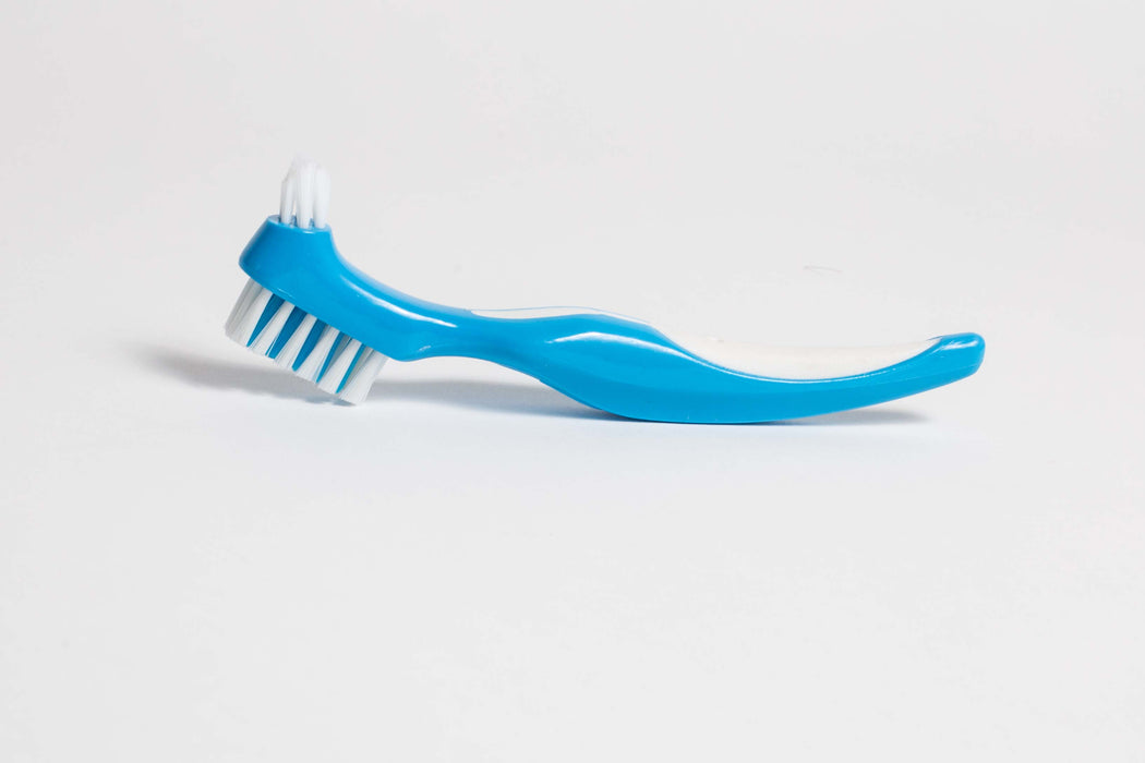 Denture Brush