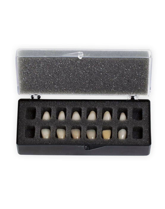 V16 with Foam Fillers