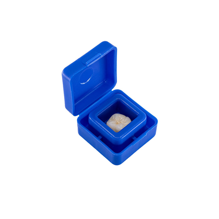 1" E-Flex Crown Boxes - Print