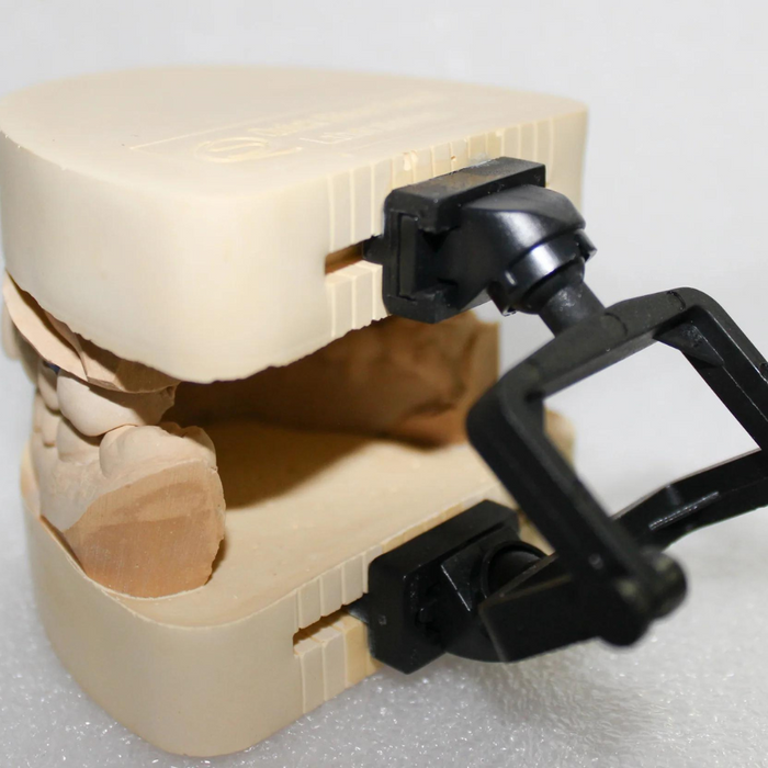 3D Disposable Crown & Bridge Articulators