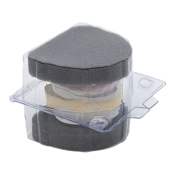 Model & Denture Shipping Boxes