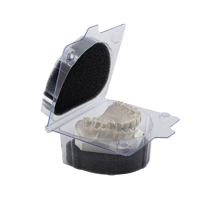 Model & Denture Shipping Boxes