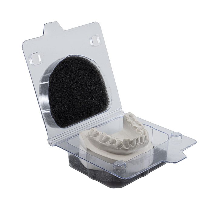 Model & Denture Shipping Boxes