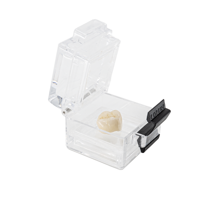 Safe-Lox Small Membrane Boxes - Print