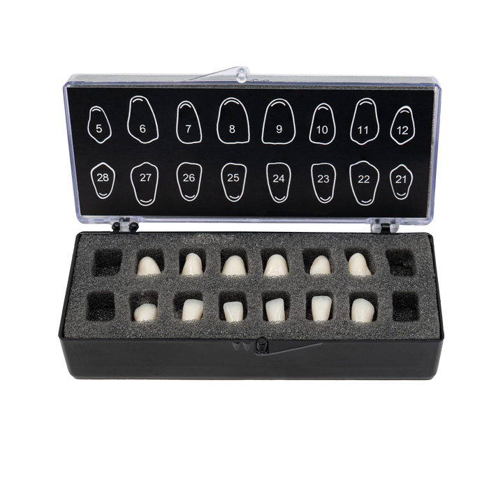 V16 with Foam Fillers