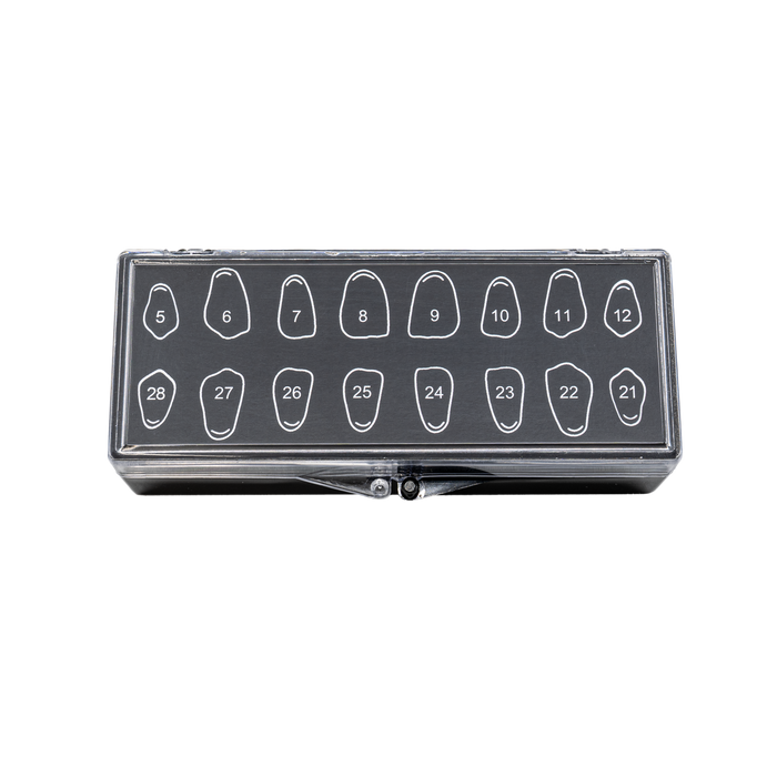 V16 with Foam Fillers - Print