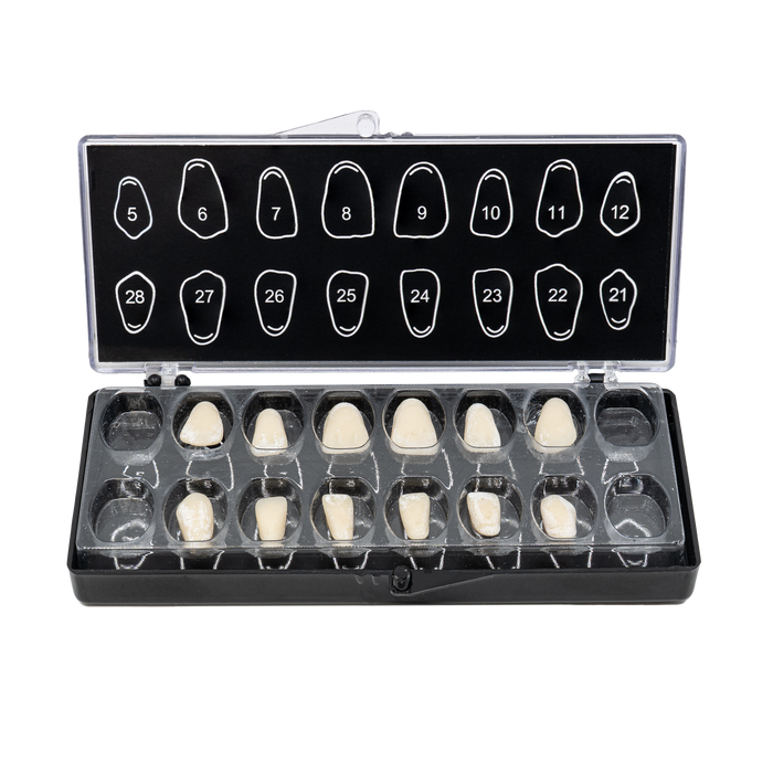 V16 with Plastic Inserts