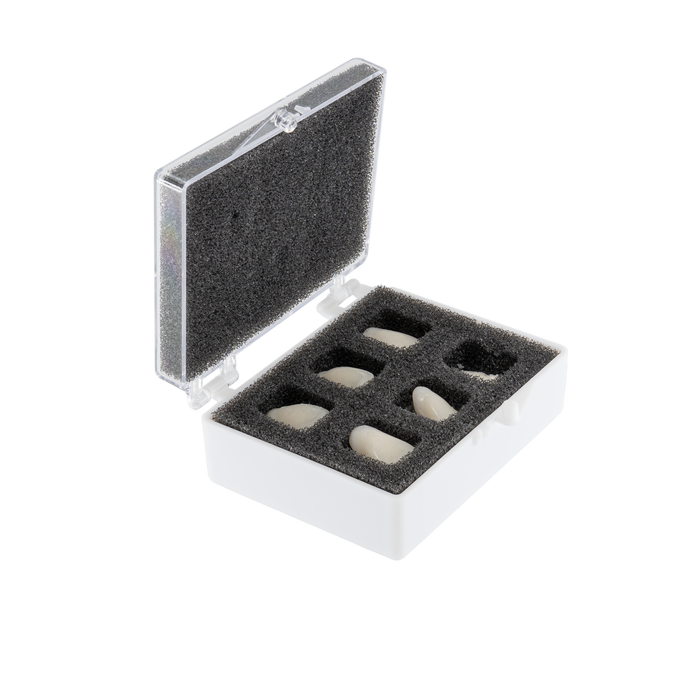 2" Rigid Boxes with V6 Foam Fillers - Print