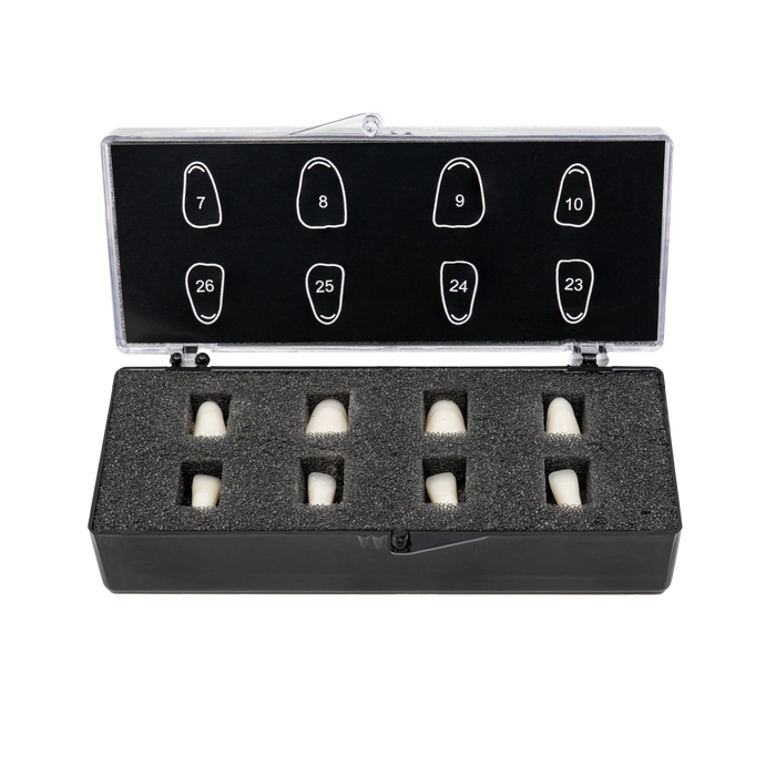 V8 with Foam Fillers - Print